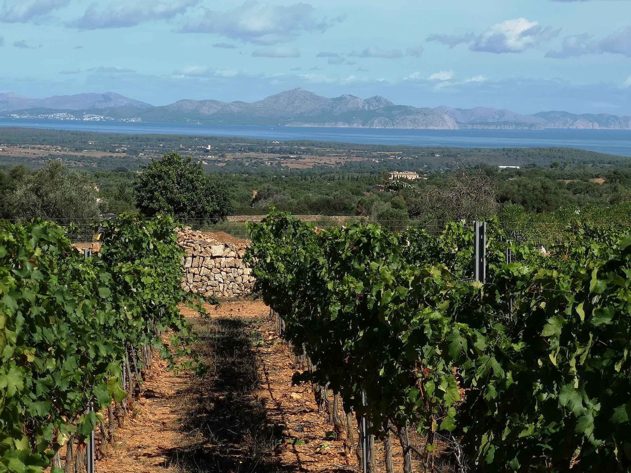 Finca Tres Tierras mir Blick auf die Bucht von Alcudia!